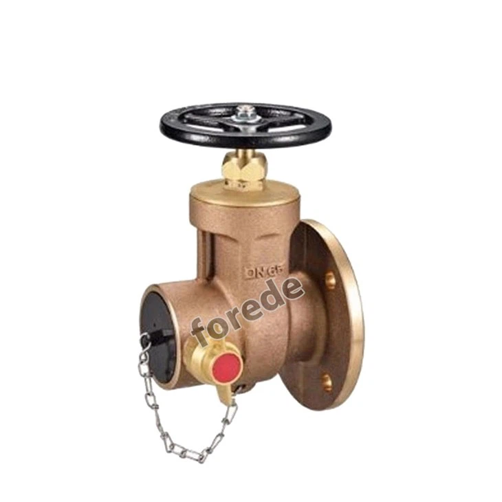 Fire Hydrant Valves 2.5